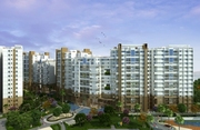 3 BHK Apartments for Sale Near Big Bazaar Area