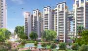 3 BHK Flats For Rent Uni world City Sector 31 Cont,  9811280160