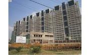 4 BHK Flats For Rent  Lalagune sun city 9811280160