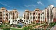 3 BHK For Rents Vipul Orchid Gardens Sector54 Call 9811280160 