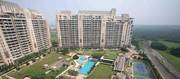 Rent DLF Aralias Apartment in Gurgaon