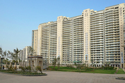 Service Apartments in DLF Magnolias Gurgaon