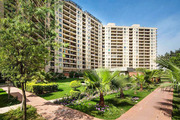 3 BHK Apartments for Rent on Golf Course Road Gurugram 