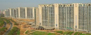 DLF Magnolias Rent Gurugram | Apartment in DLF Magnolias Gurgaon