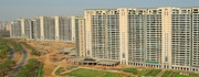 Apartments in Gurgaon for Rent | DLF Magnolias Gurgaon