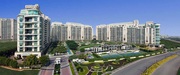 Apartments in Gurgaon for Rent