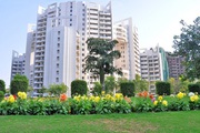 Apartment in Parsvnath Exotica Gurgaon | Apartments in Gurgaon