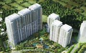 Rent DLF The Crest Apartment in Gurugram | DLF The Crest