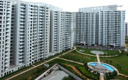 DLF The Icon in Gurgaon for Rent 